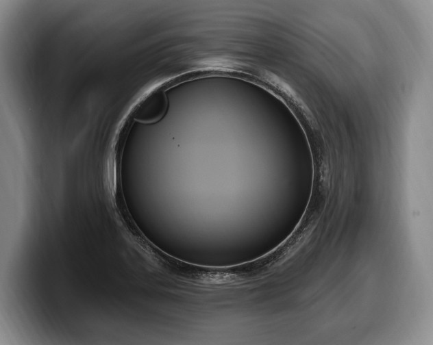 X0000100321323200806051508