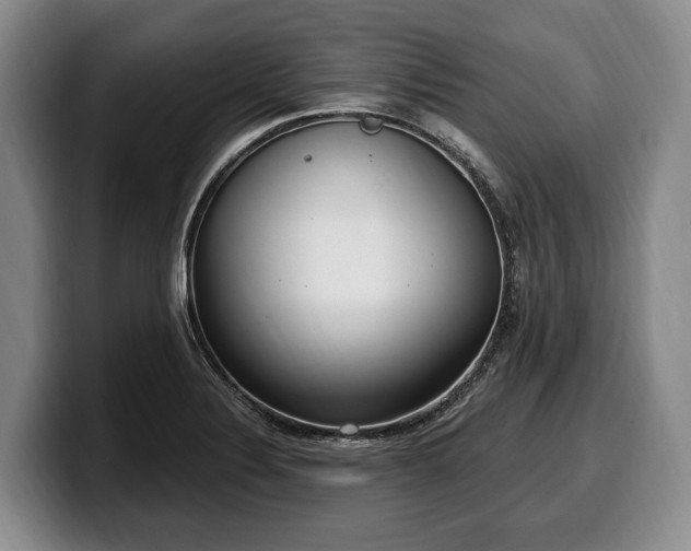 X0000100321324200806051509