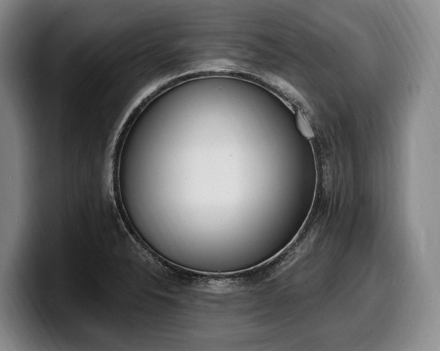 X0000100321326200806051509