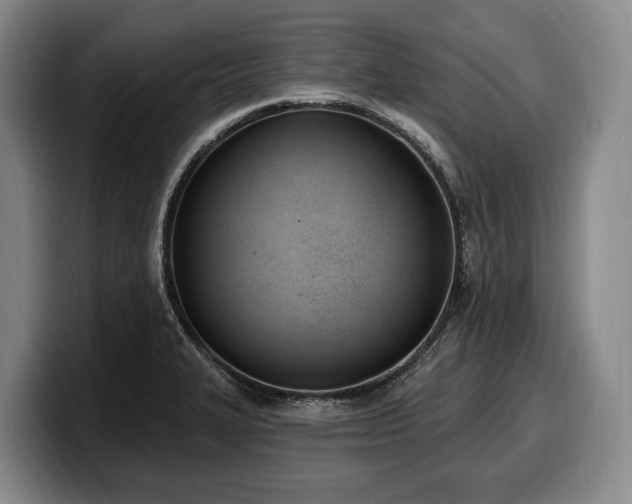 X0000100321327200806051509