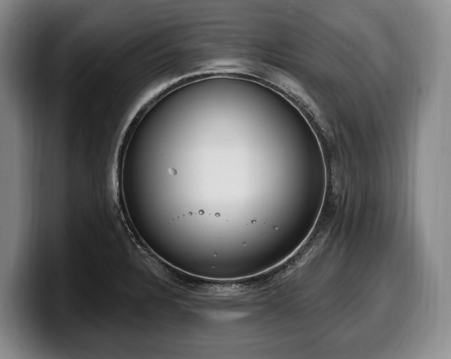 X0000100321328200806051509