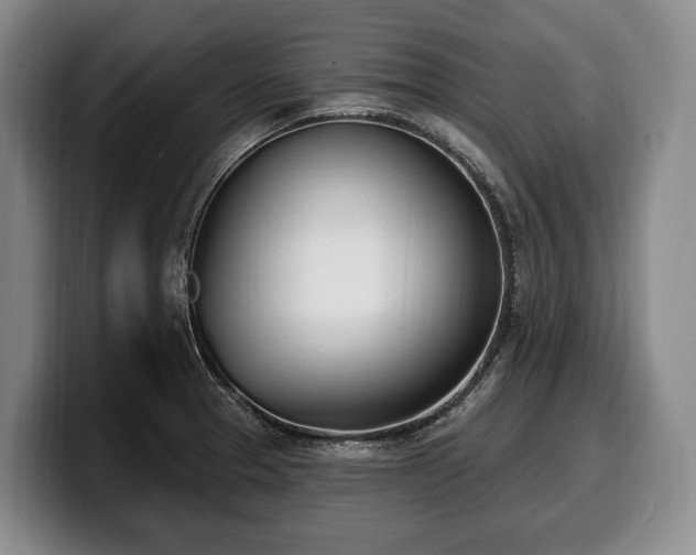 X0000100321329200806051509