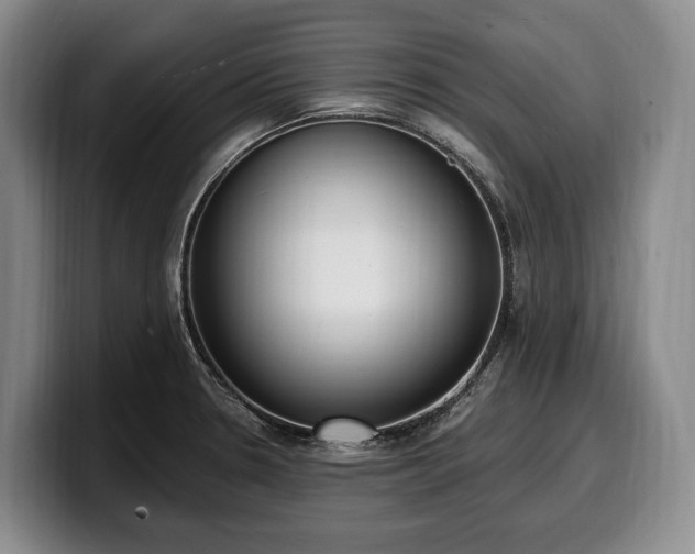 X0000100321330200806051509