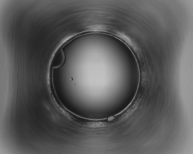 X0000100321331200806051509
