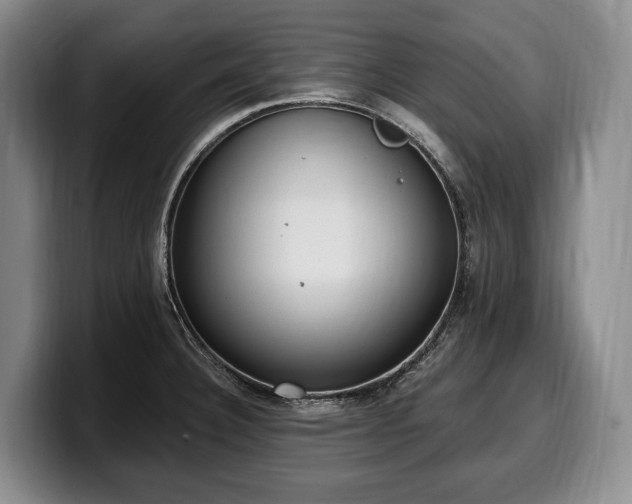 X0000100321332200806051509
