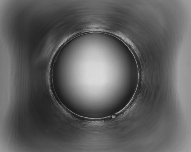 X0000100321333200806051509