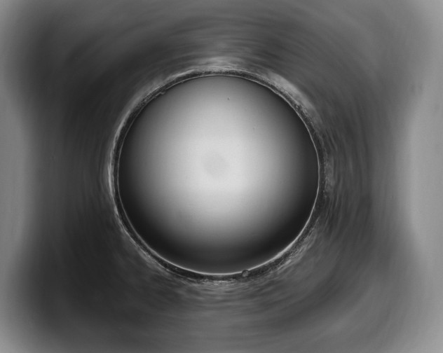 X0000100321334200806051509