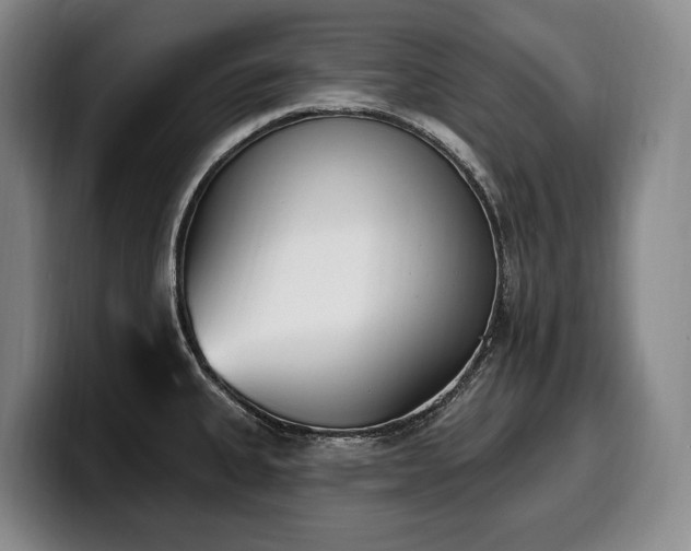 X0000100321335200806051509