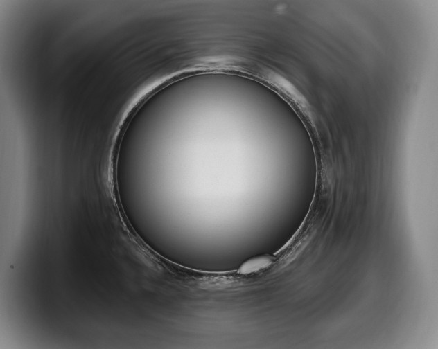 X0000100321336200806051509