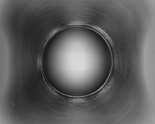 X0000100321337200806051509
