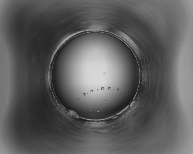 X0000100321340200806051509