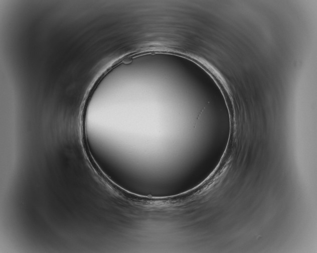 X0000100321341200806051509