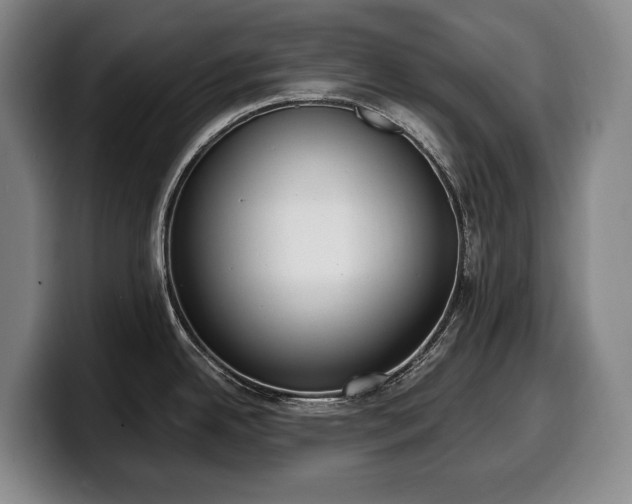X0000100321342200806051509