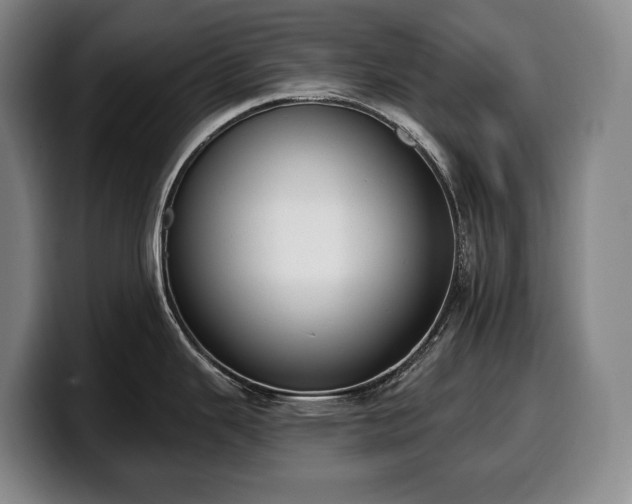 X0000100321343200806051509