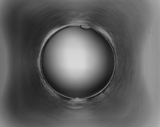 X0000100321344200806051509