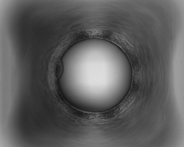 X0000100321345200806051508