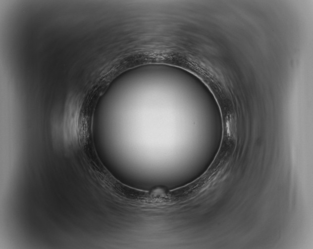 X0000100321347200806051508
