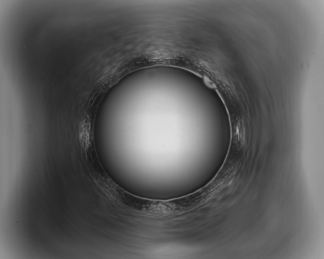 X0000100321348200806051508
