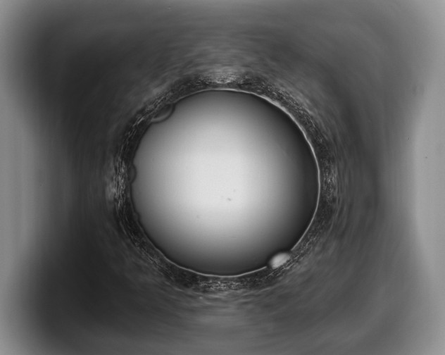 X0000100321349200806051508