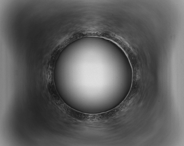 X0000100321350200806051508