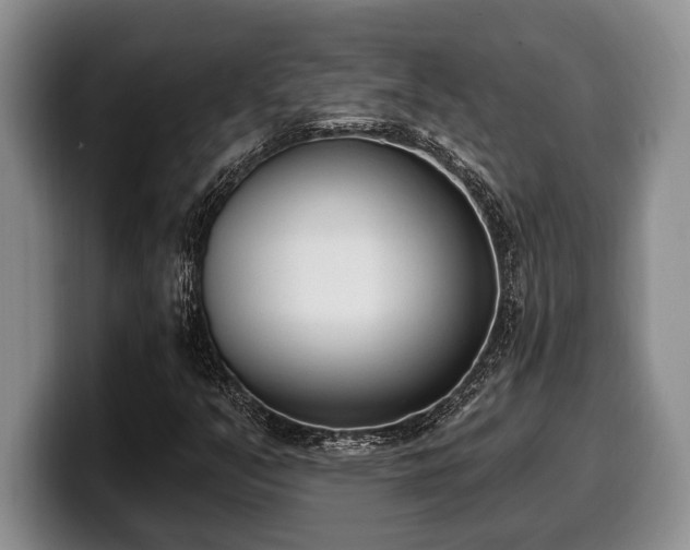X0000100321351200806051508