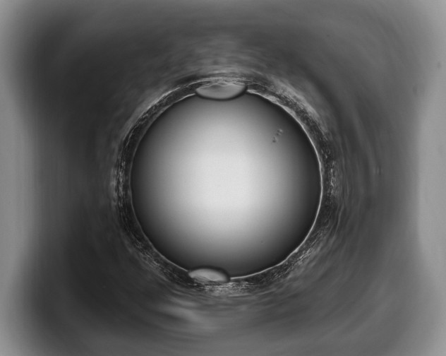X0000100321352200806051508