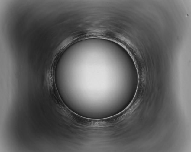 X0000100321354200806051508