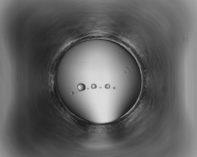 X0000100321355200806051508