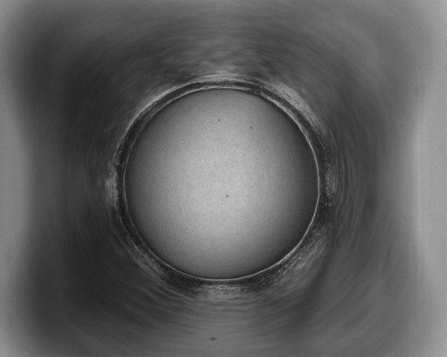 X0000100321356200806051508