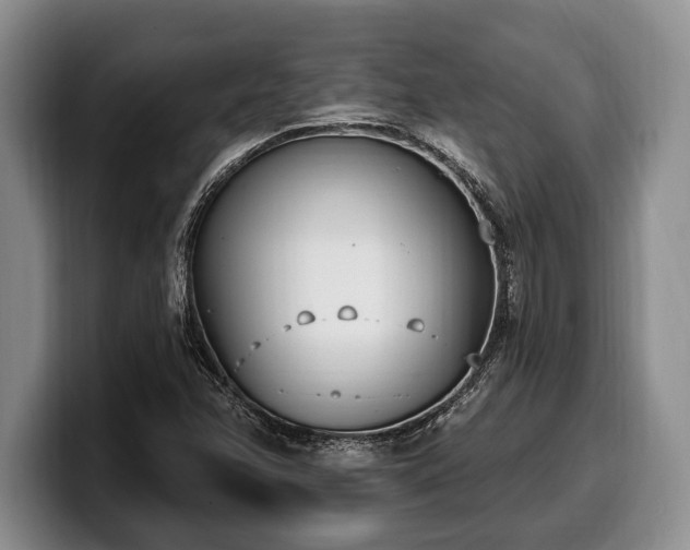 X0000100321358200806051508
