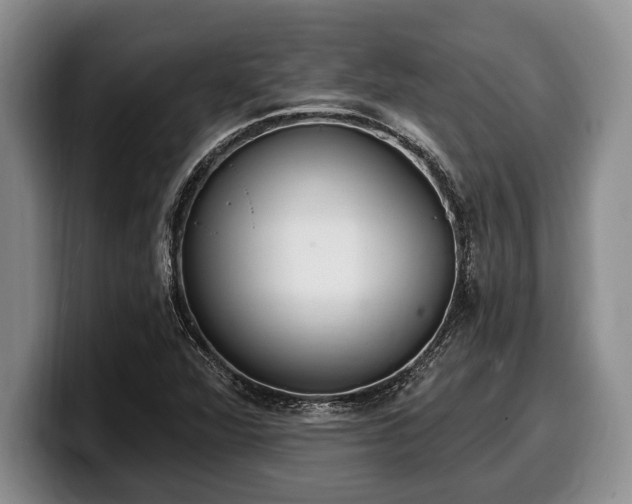X0000100321360200806051508