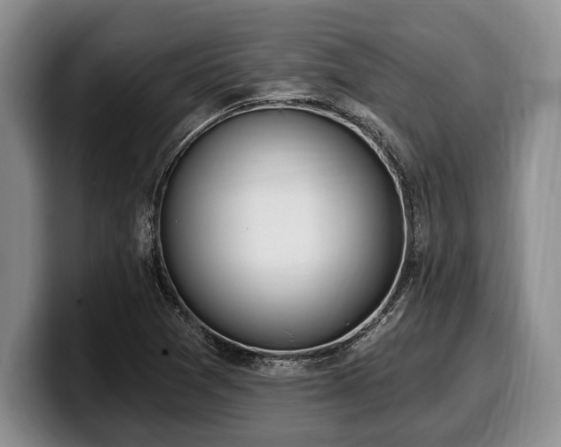 X0000100321361200806051508