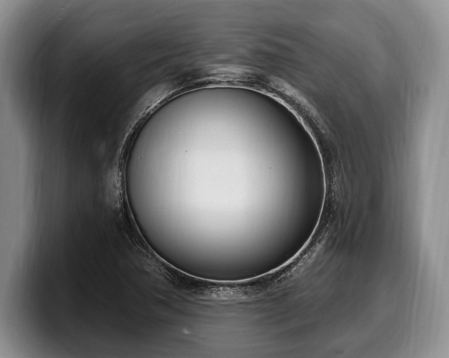 X0000100321362200806051508