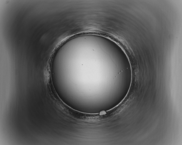 X0000100321363200806051508