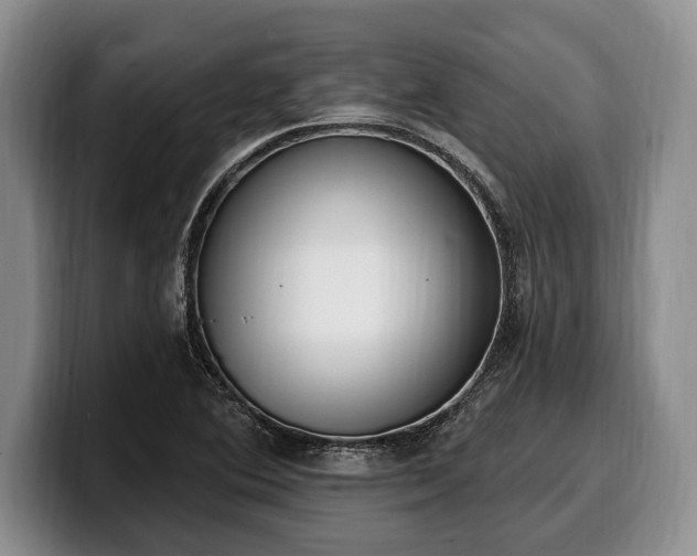 X0000100321364200806051508