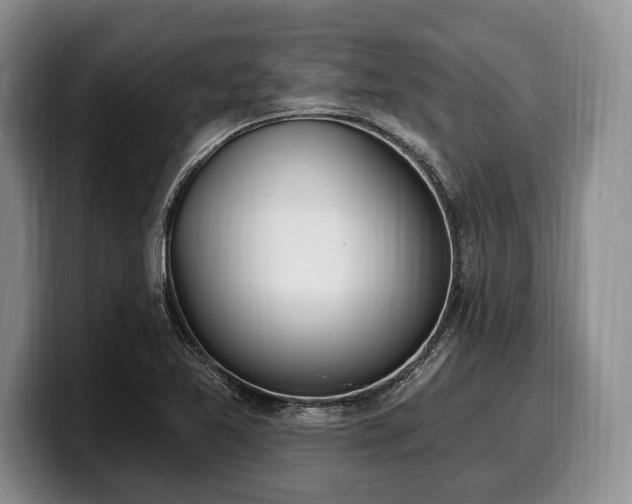 X0000100321365200806051508