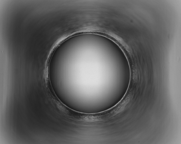 X0000100321366200806051508