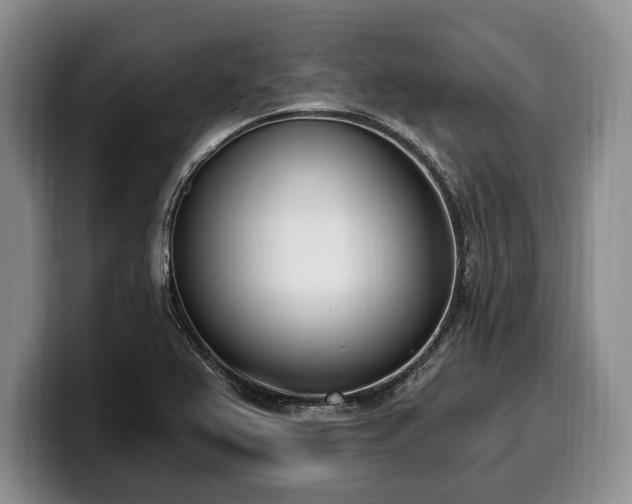 X0000100321367200806051508