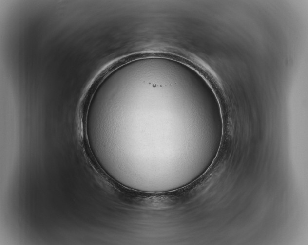 X0000100321368200806051508