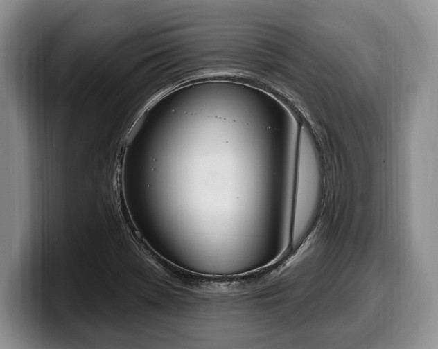 X0000100321369200806051508