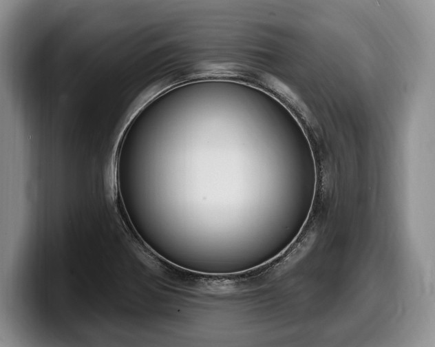 X0000100321370200806051508
