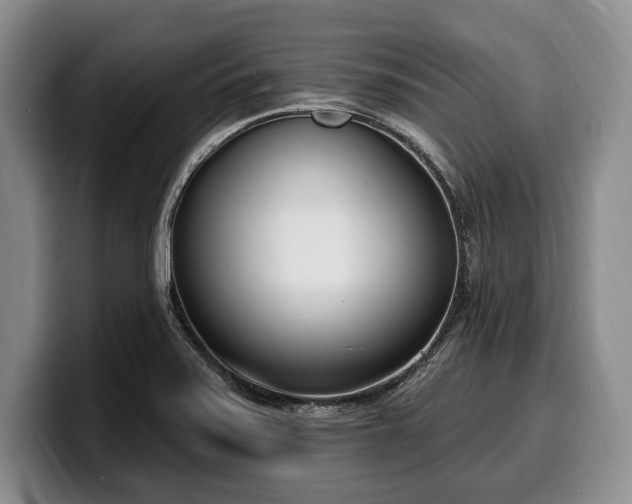 X0000100321371200806051508