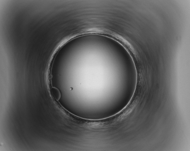 X0000100321373200806051508