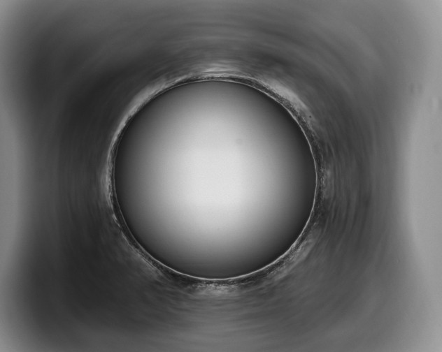 X0000100321374200806051508