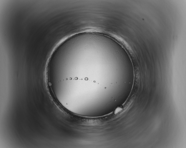 X0000100321375200806051508