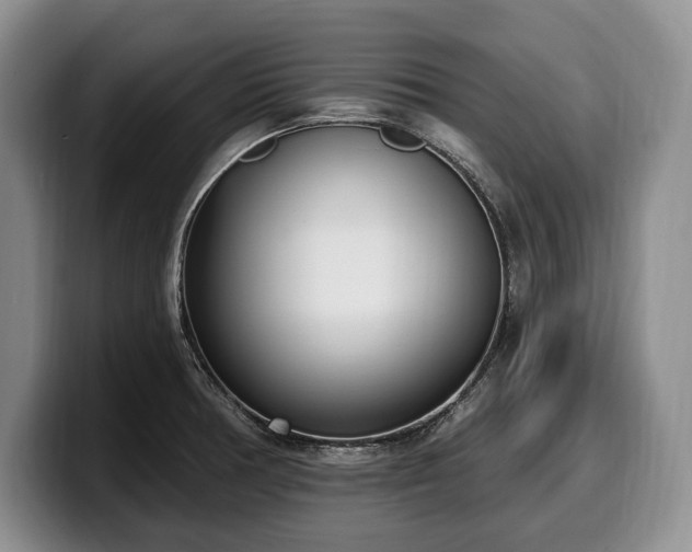 X0000100321378200806051508
