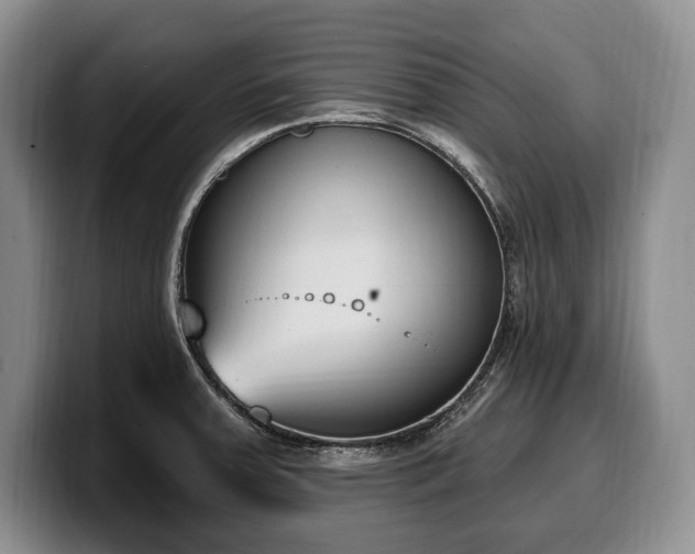 X0000100321379200806051508