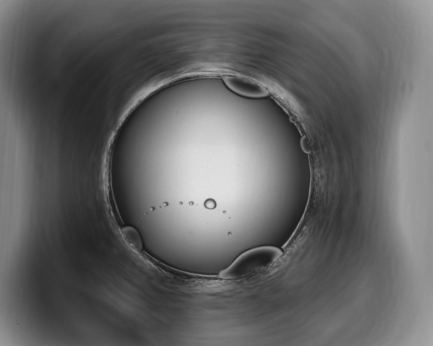 X0000100321382200806051508