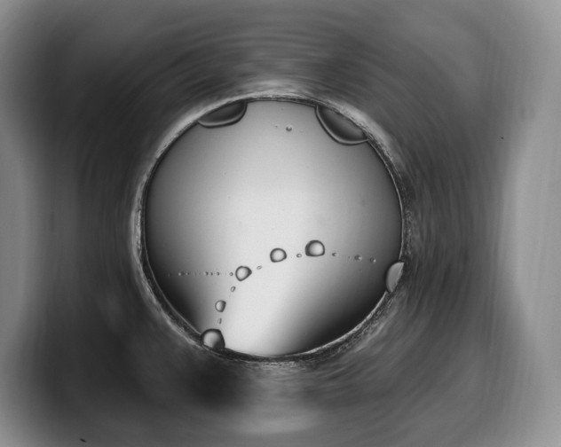 X0000100321383200806051508