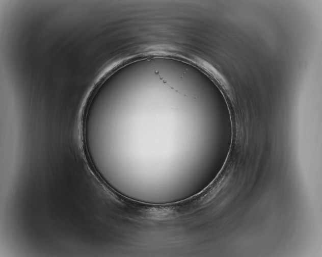 X0000100321384200806051508